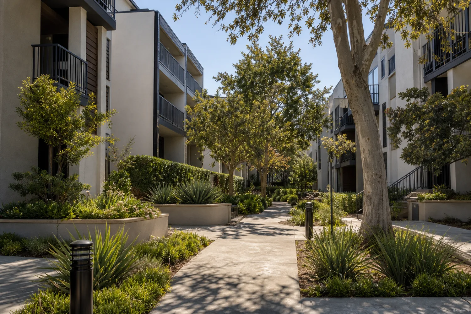 Landscaped California multifamily residential courtyard